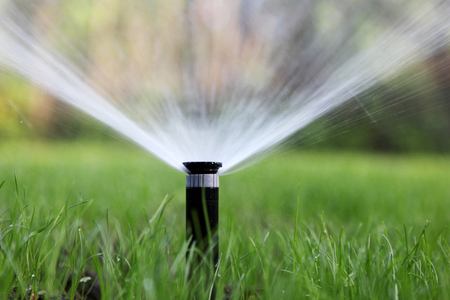56079724-sprinkler-of-automatic-watering