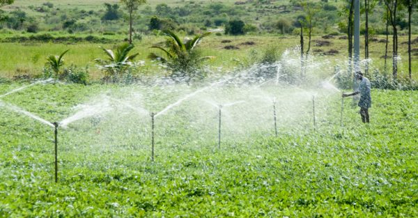 Irrigation-Kenya