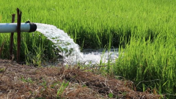 Close-up of the stream flowing out of the plastic pipe into the rice paddies area for growth, commonly seen in rural Thailand.